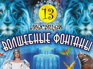 ВОЛШЕБНЫЕ ФОНТАНЫ - 13 месяцев
