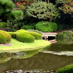 Imperial Palace Garden